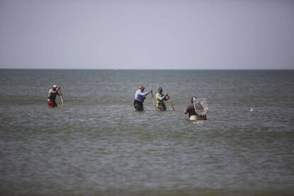 A group of men catching shellfish near Sanlucar de Barrameda in Doñana