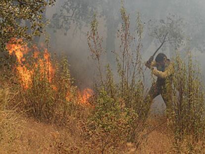 Un vecino de Berrocal, en el término municipal de Huelva, participa en las labores de extinción del fuego.