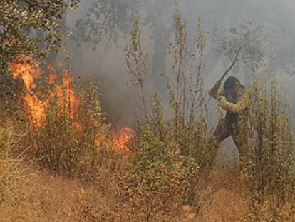 Un vecino de Berrocal, en el término municipal de Huelva, participa en las labores de extinción del fuego.