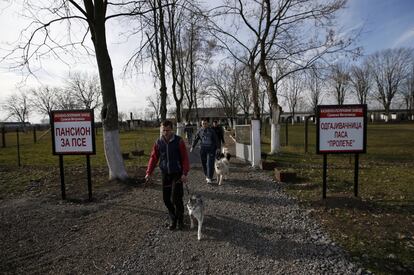 Un grupo de prisioneros pasea a los perros del refugio de la cárcel serbia cercana a Belgrado.