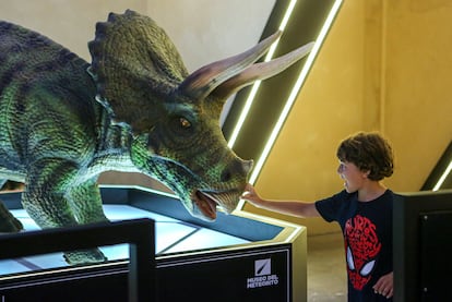 Cada sala tiene su propio diseño sonoro, así como figuras con sonido y movimientos robóticos. En la foto, un niño interactúa con una réplica de un dinosaurio en el Museo del Meteorito, el 9 de agosto de 2022.