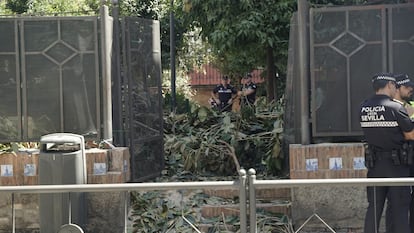 Varios policías vigilan las tareas de limpieza de ramas del ficus llevadas a cabo este jueves.