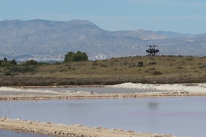 Las salinas de El Pinet, en Elche.