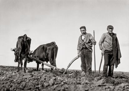 ‘El Campillo. Men with Oxen and Plow (El Campillo. Hombres con bueyes y arado)’.