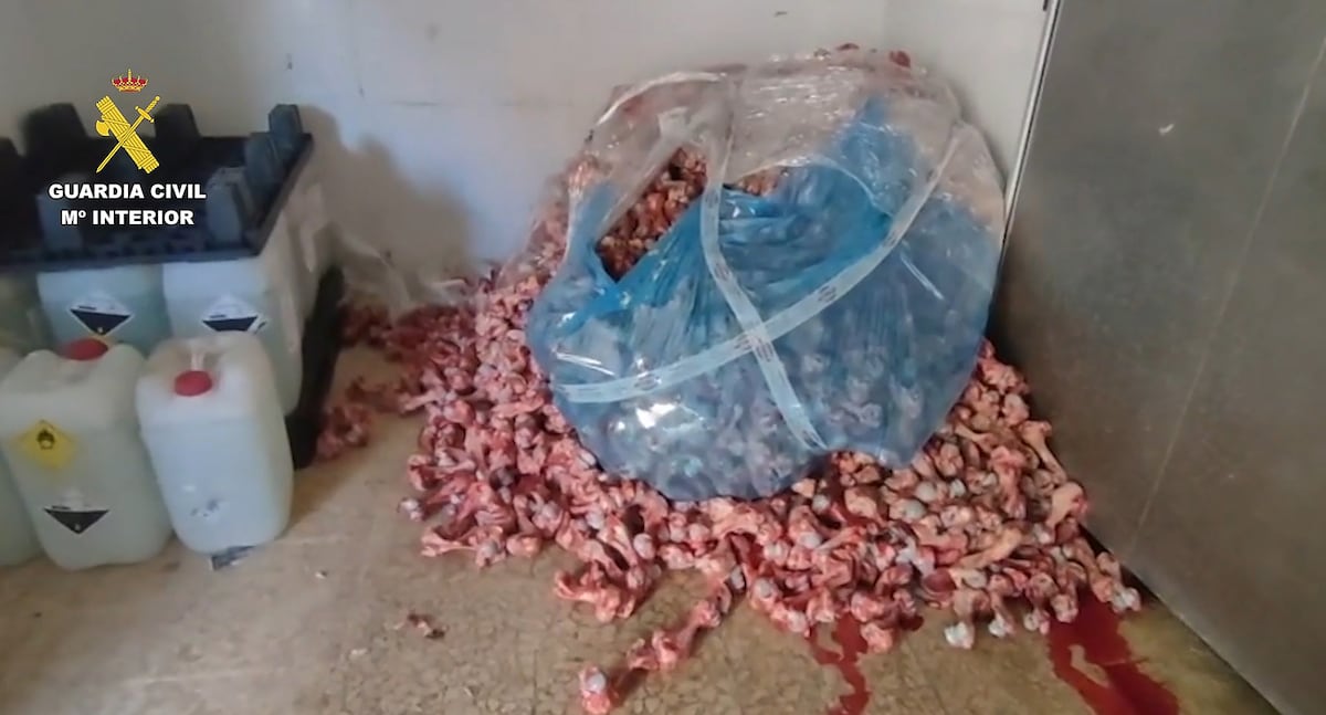 Carne en el suelo, sin refrigerar y alterada con químicos: intervienen más de 30 toneladas de productos cárnicos en un pueblo de Málaga