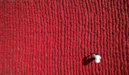 Nenhuma empresa quer ficar atrás na corrida aérea. Em setembro de 2016, o GoPro apresentou seu primeiro drone, o Karma, com o qual pretende dar suporte a suas novas câmeras de ação, a Hero 5 Black e a Hero 5 Session, e não ter que depender de nenhum outro fabricante.