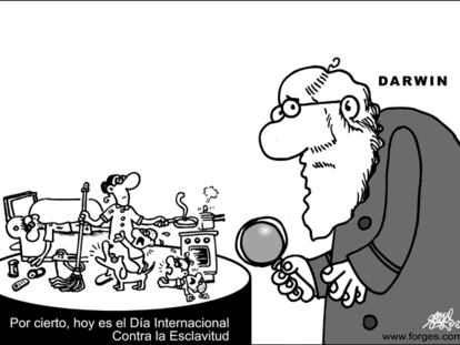 FORGES