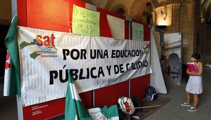 Carteles instalados en el Rectorado de la Universidad de Sevilla.