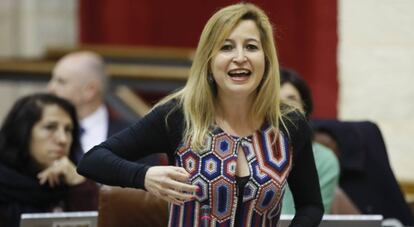 La diputada de Podemos Carmen Lizárraga, durante una intervención en el Parlamento andaluz.