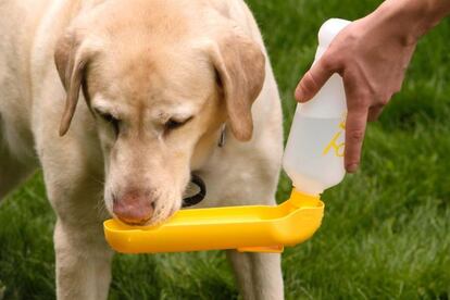 Sencilla, ligera y porttil, esta botella de agua con bebedero plegable incorporado ayuda a darle de beber a tu perro este verano aunque ests lejos de una fuente. Precio: 13 euros. http://newanglepet.com