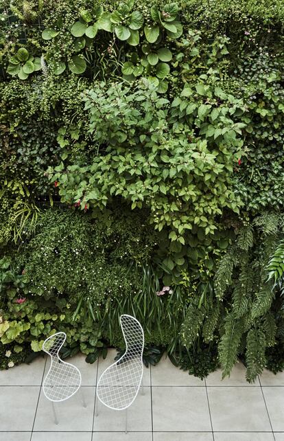 Las arquitectas del estudio Vilablanch diseñaron el jardín vertical que oculta la medianera vecina. La silla de exterior Family Chair es un modelo ideado por el japonés Junya Ishigami para Living Divani. Todo fue adquirido en la tienda Minim.