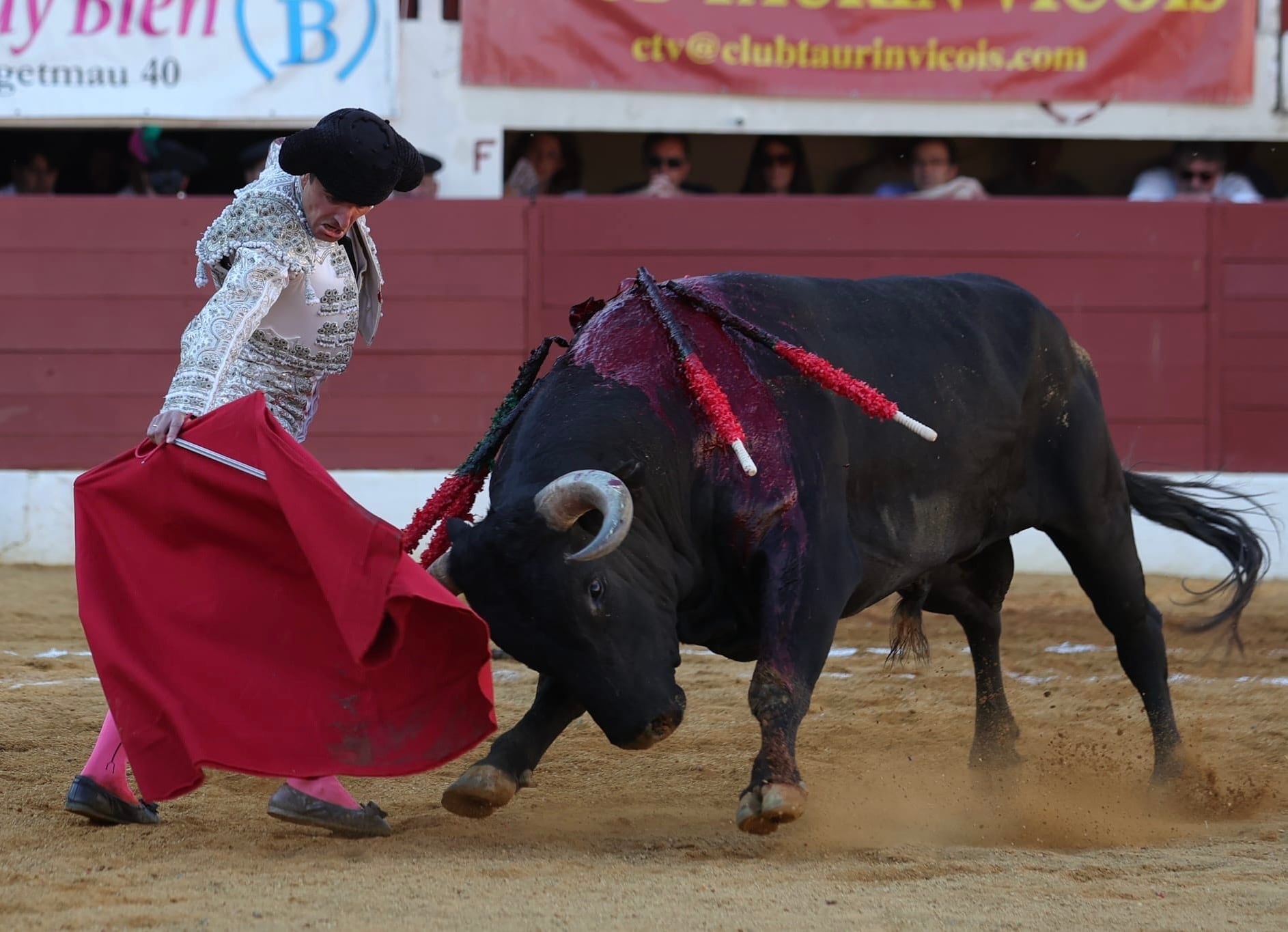 Damián Castaño, frente al quinto toro de Miura.