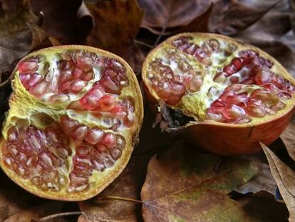 El ‘trencadís’ es una granada