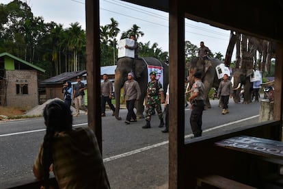 Mahouts indonesios transportan materiales electorales en elefantes a un colegio electoral en Trumon, provincia de Aceh del sur.