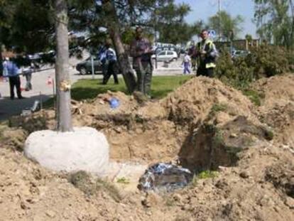 Un jardinero magrebí muere aplastado por un árbol en Pozuelo de Alarcón. madrid 16 d emayo de 2002