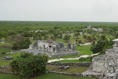 Uno de los polígonos de la nueva área natural protegida "Jaguar", decretada por el gobierno este miércoles, se sitúa cerca de la zona arqueológica de Tulum.