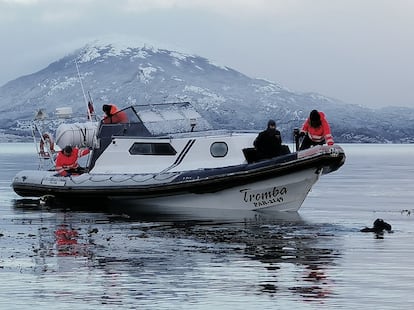 Una embarcación atraviesa el Canal Beagle, en la Patagonia sudamericana.