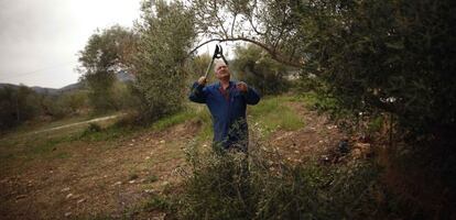 Un agricultor en Ronda, Málaga.