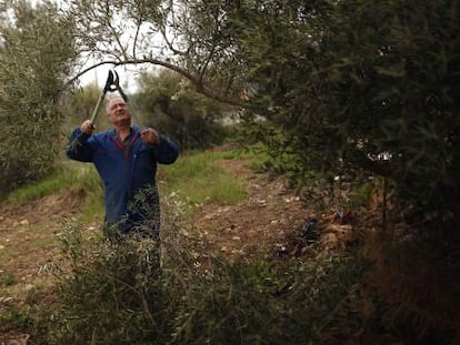 Un agricultor en Ronda, M&aacute;laga.