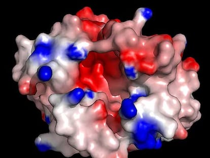 Zona de la proteína PA en el virus gripal.
