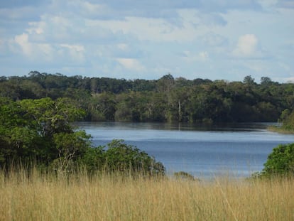 En la zona podría haber hasta 2.677 especies de plantas y animales.