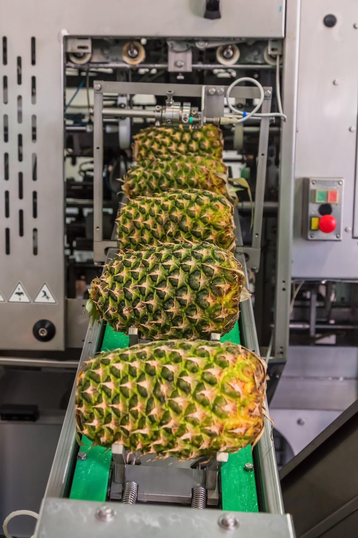 Frulact aspira a estar en todos los platos | Negocios | EL PAÍS