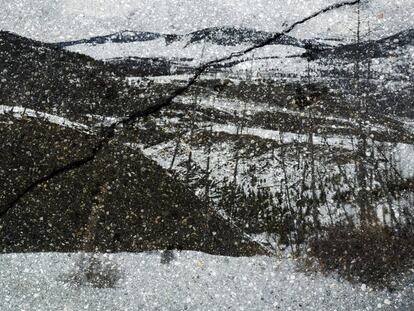 Parque nacional de Yellowstone, Wyoming (2013).