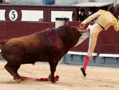 Juan Leal es corneado por su primer toro, hoy en Las Ventas.