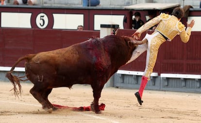 Juan Leal es corneado por su primer toro, hoy en Las Ventas.