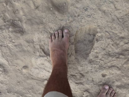 Un pie comparado con una huella f&oacute;sil de &#039;Homo erectus&#039;.