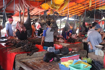 Murciélagos despiezados a la venta en un mercado en Indonesia. Universidad de California Davis.