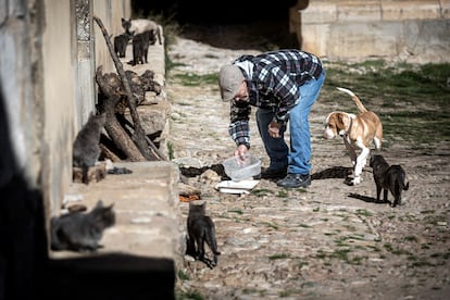 Martín Colomer frente a la puerta de su casa poniendo comida a sus perros y gatos, únicos habitantes de La Estrella.