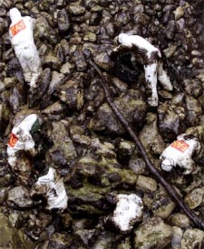 Un grupo de soldados limpiaba ayer chapapote en la costa de Santander.