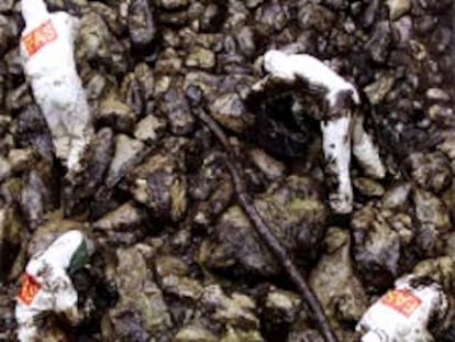 Un grupo de soldados limpiaba ayer chapapote en la costa de Santander.
