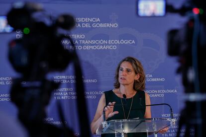 La ministra para la Transición Ecológica y el Reto Demográfico, Teresa Ribera, atiende a la prensa tras la reunión telemática con los responsables autonómicos.