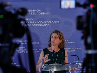 La ministra para la Transición Ecológica y el Reto Demográfico, Teresa Ribera, atiende a la prensa tras la reunión telemática con los responsables autonómicos.