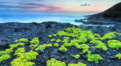 Punta Norte, en la isla de El Hierro.