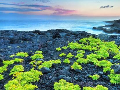 Punta Norte, en la isla de El Hierro.