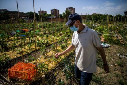 Alfredo Mingorance, en el huerto urbano de la Fundación Montemadrid.