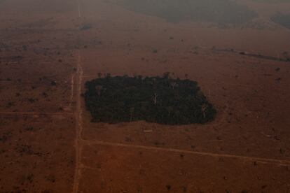 Una zona de selva quemada junto a un rancho ganadero en el Estado de Mato Grosso (Brasil).