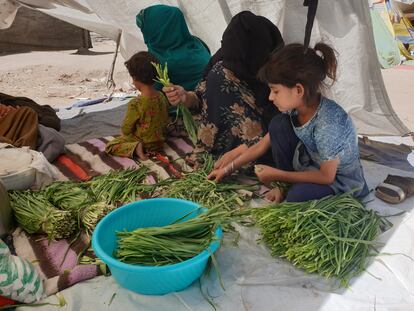 Parwana, cuyo marido murió en un ataque talibán sobre su barbería, limpia verduras con una de sus hijas y una vecina en el parque de Kabul en el que viven