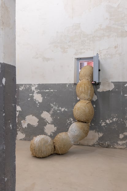 'Exudates' (2024), de Eva Fàbregas, en la cárcel panóptica de Mataró.