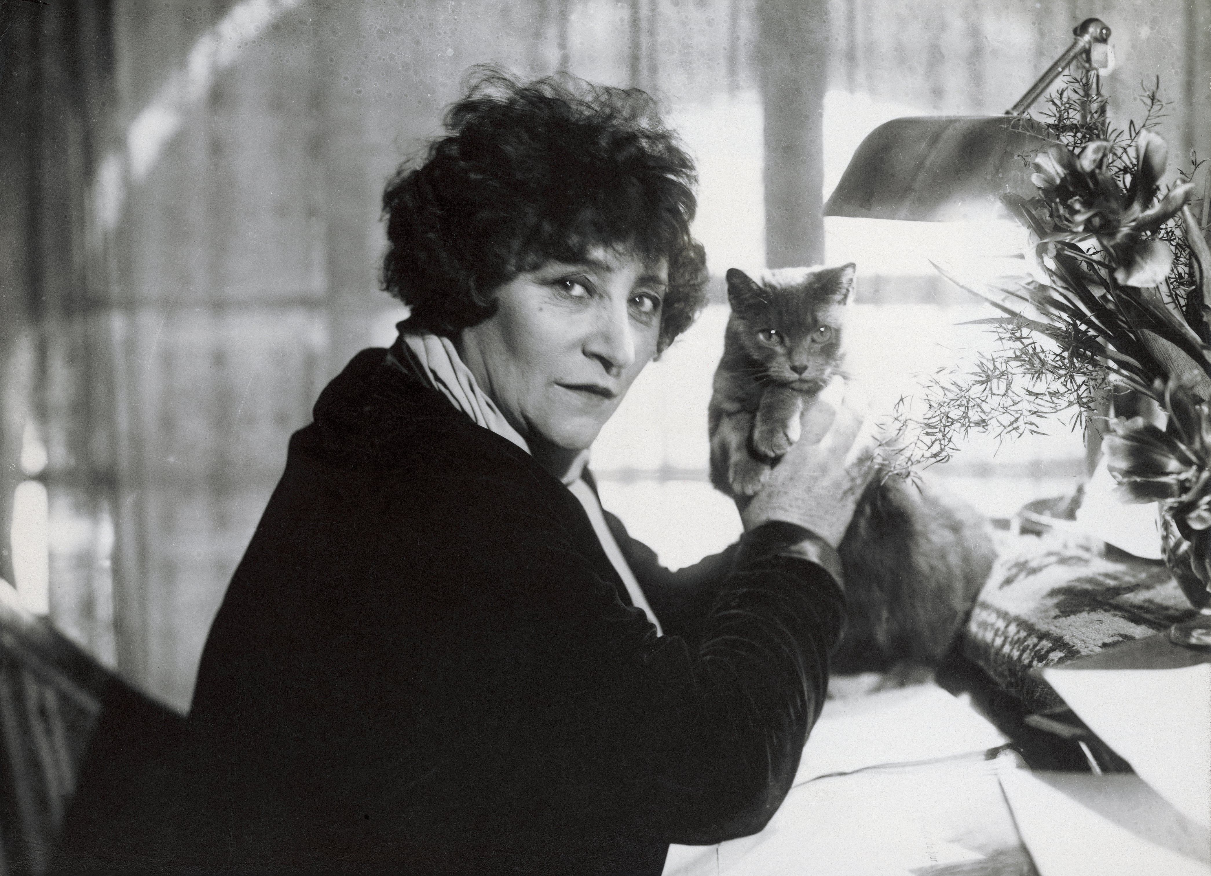 De amores y afinidades entre los escritores y los gatos