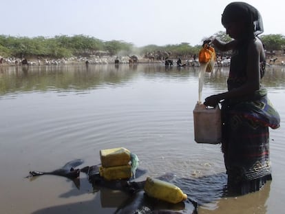 Una mujer etíope recoge agua de un estanque construido para mejorar la resiliencia frente a la sequía.