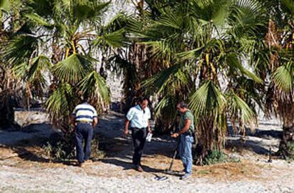 Un grupo de artificieros busca la supuesta bomba en la zona de la Gran Playa de Santa Pola señalada por el aviso: entre las palmeras.