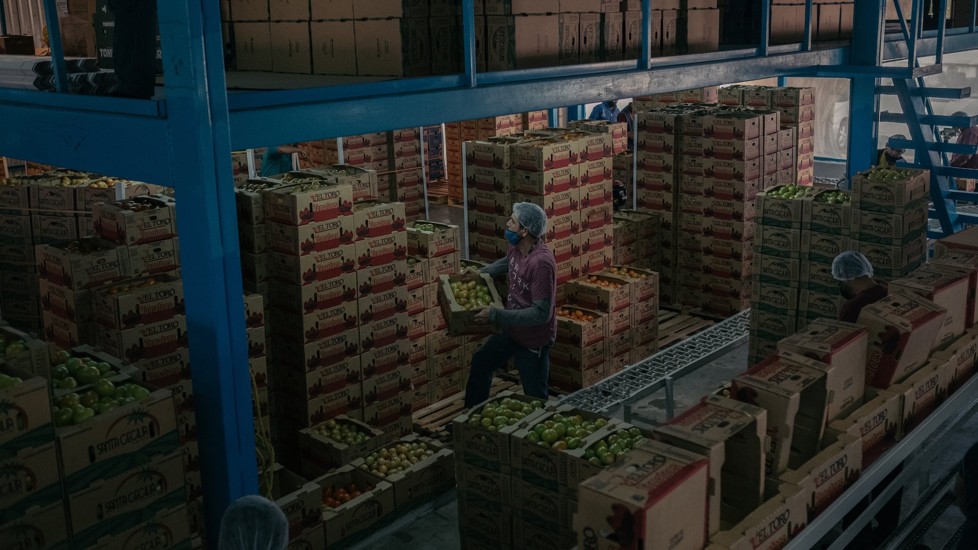 Un trabajador mueve una caja de tomates en Navolato, Sinaloa, el 11 de febrero de 2022.