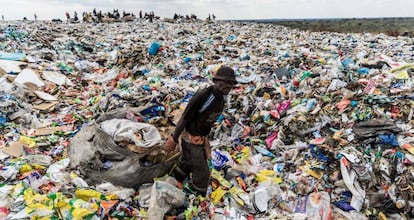 Dia Mundial do Meio Ambiente 2018