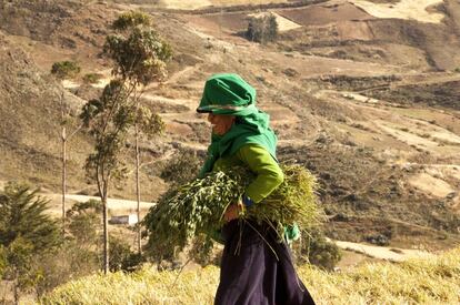 Las mujeres agricultoras son la fuerza de los pueblos que habitan los Andes ecuatorianos. Ellas labran la tierra, siembran y cosechan el presente y futuro de sus familias. Su forma de vida está en constante peligro puesto que, como afirma Anselmo Lluilema, el Estado prefiere apoyar a grandes empresas de agroexportación antes que ayudar a una pequeña familia campesina. 