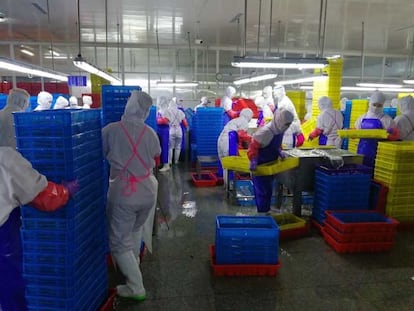Imagen de Dandong Taifen, una planta de procesamiento de marisco en el noreste de China llamada g, que suministra decenas de miles de toneladas de marisco a tiendas de comestibles de Estados Unidos y otros países. El investigador encontró a 150 norcoreanos trabajando allí.