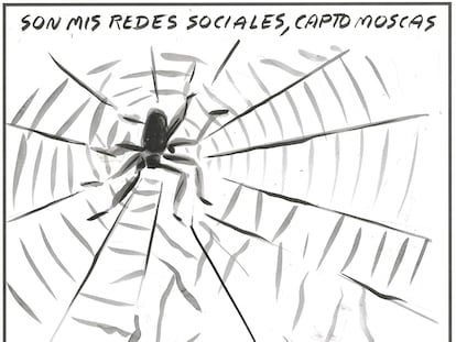 El Roto: telarañas sociales
